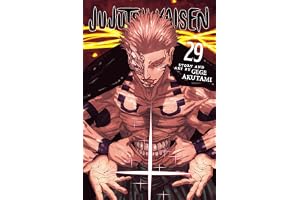 Cover image for Jujutsu Kaisen 29: Volume 29