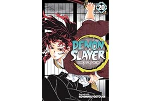 Cover image for Demon Slayer: Kimetsu No Yaiba, Vol. 20