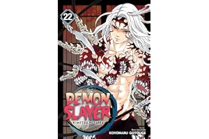 Cover image for Demon Slayer: Kimetsu No Yaiba, Vol. 22