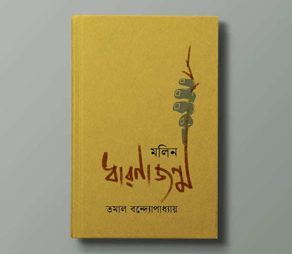 মলিন ধারণাজন্ম